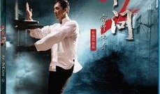 叶问2在线观看国语版,宗师传奇国语版在线观影指南