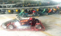 卡丁车主播爆料视频大全,揭秘赛车圈幕后故事